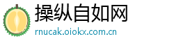 操纵自如网